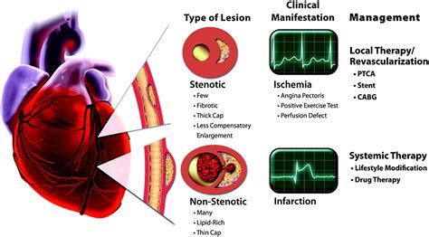 positive for atherosclerosis